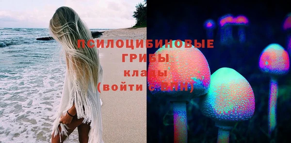 ПСИЛОЦИБИНОВЫЕ ГРИБЫ Алексин