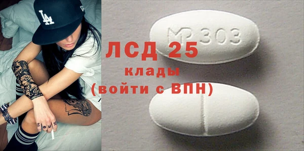 ПСИЛОЦИБИНОВЫЕ ГРИБЫ Алексин