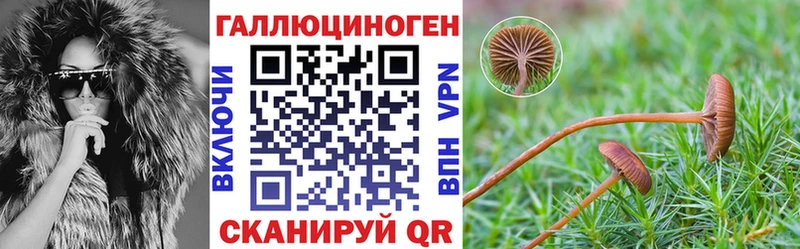 shop Telegram  Углич  Галлюциногенные грибы Psilocybe  дарнет шоп 