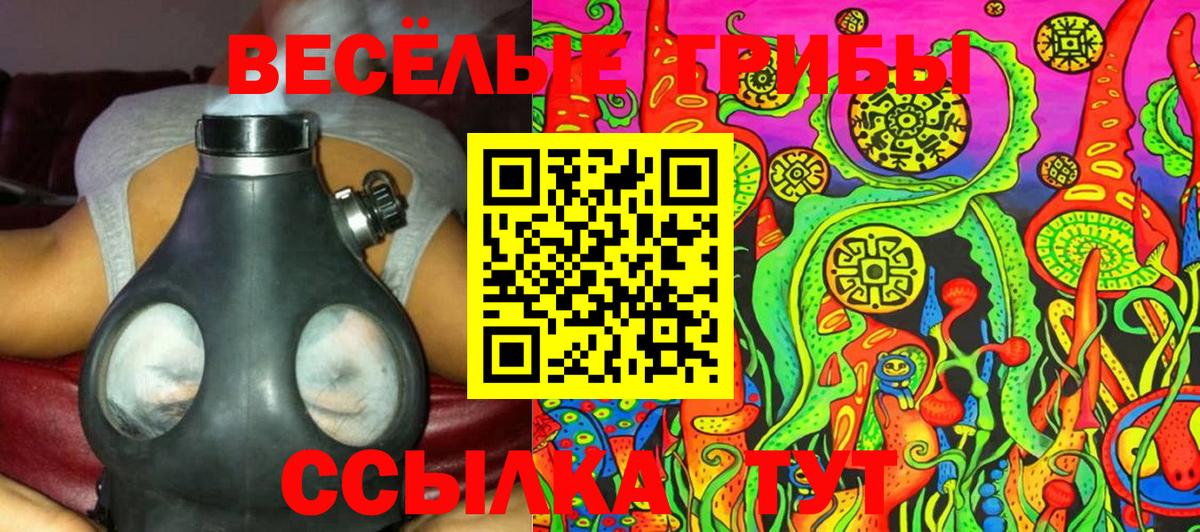Галлюциногенные грибы MAGIC MUSHROOMS  Вход с VPN  Углич 