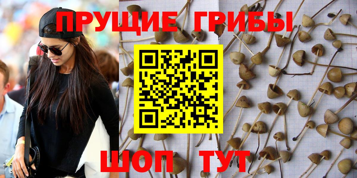 Галлюциногенные грибы ЛСД Углич